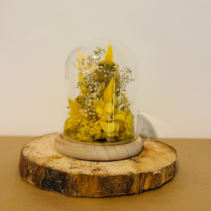 Aurore grande cloche