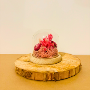 Pivoine petite cloche