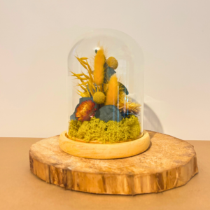 Soleil d'été - grande cloche