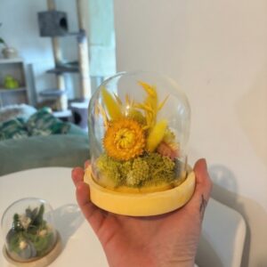 Énergie Solaire-Petite cloche