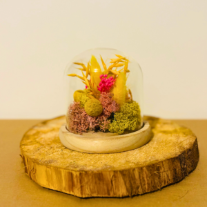 Reve boheme petite cloche