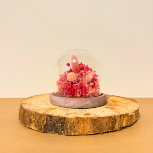 Rose bonbon petite cloche