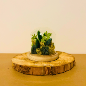 Vert Douceur Petite cloche