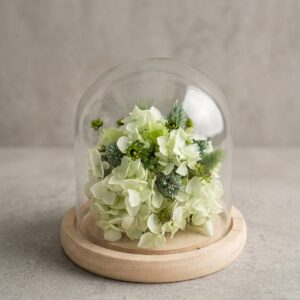Vert douceur - Petite cloche