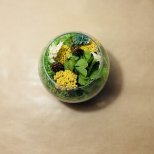 Mini Jardin - Forêt