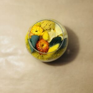 Mini Jardin - Helios