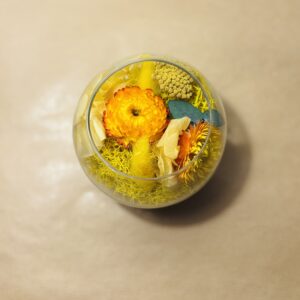 Mini Jardin -Été indien