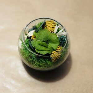 Mini Jardin - Nature