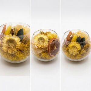 Mini Jardin - Solange