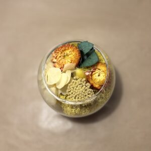 Mini Jardin - Soleil