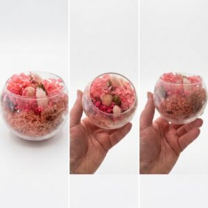 Mini Jardin Blossom